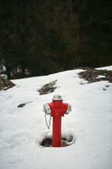 red fire hydrant in snowy winter park