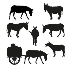 Set of vector silhouettes of a donkey in various poses.