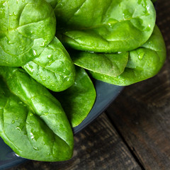 fresh juicy green spinach, healthy foods, proper nutrition, organic vegetarian food, healthy eating, copy space