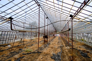 Fototapeta premium Old abandoned greenhouse interior. Turkey.