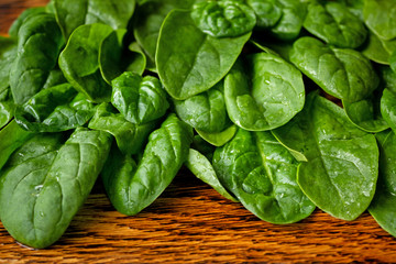 fresh juicy green spinach, healthy foods, proper nutrition, organic vegetarian food, healthy eating, copy space