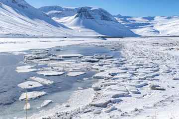Ice floes on the river in Iceland © Mirosaw