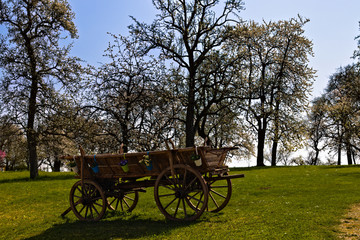 Fototapeta na wymiar old carriage in the countryside