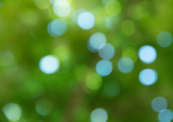 Natural green bright blur background of sunny summer forest