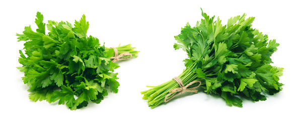 Fresh parsley on white background