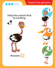 Matching game, education game for children. Puzzle for kids. Match the right object. Help the ostrich find its nestling.