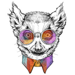 Hand drawn portrait of Funny Lemur in glasses. Vector illustration isolated on white © Diana