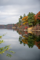 Fototapeta premium Fall color tour near Birch Pond in New England