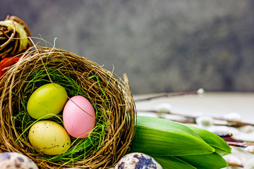 Obraz premium Beautiful Easter card with a decorative nest with Easter eggs and pussy-willow twigs on a wooden light background