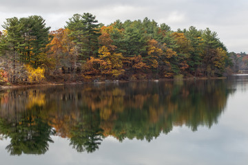 Fototapeta na wymiar Fall color tour near Birch Pond in New England