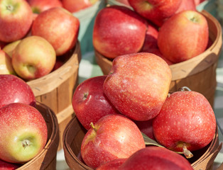 baskets of apples