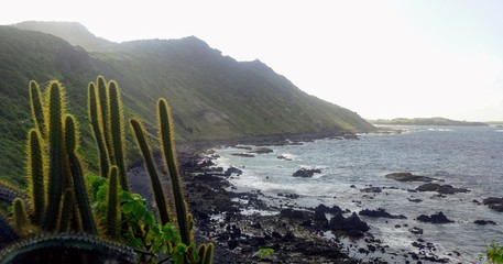beautiful beach at Fernando de Noronha island