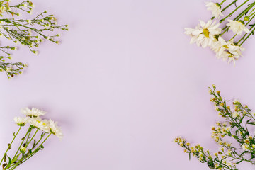Flat lay of white daisy flower frame