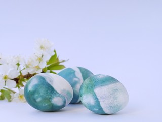 Blue, green, turquoise and white homemade easter eggs colored with a red cabbage natural colour on a white background with blank space decorated with spring flowers closeup.