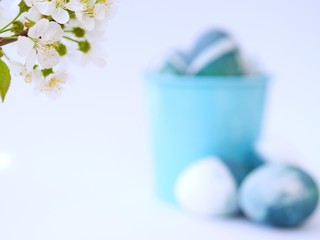 White spring flowers closeup and burred blue, green, turquoise and white homemade easter eggs colored with a red cabbage natural colour on a white background with blank space in a light blue bucket.
