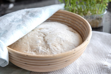 Bread dough rising in basket, home made