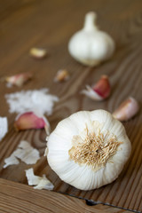 Head of white garlic