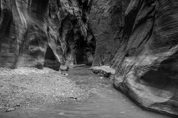 A view of the narrows in Zion National Park