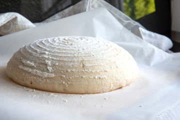 Fototapeta na wymiar Whole grain bread dough rising on table