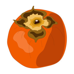 Persimmon whole. Vector stock illustration of fruit persimmon isolated on white background for decorative poster, emblem natural product, farmers market and etd.