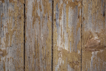 Old texture painted wooden boards for background or for wallpaper