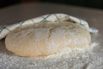 homemeade dough