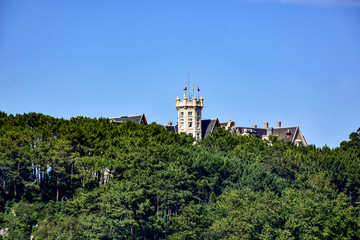Fototapeta na wymiar palace tower among the forest