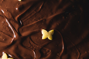 Sweet butterfly decoration on a chocolate sauce
