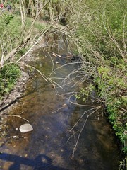 Bach fließt durch Park