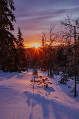 Beautiful winter sunset in Lapland forest