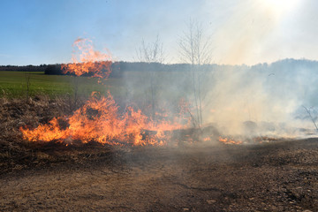 Fire. Burning last year's dry grass with plenty of smoke could turn into a tragedy.