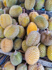 Durian