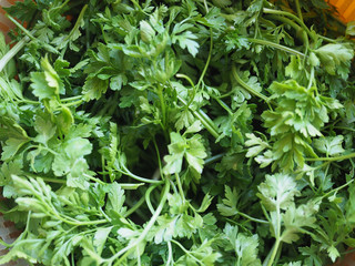 parsley aka cilantro