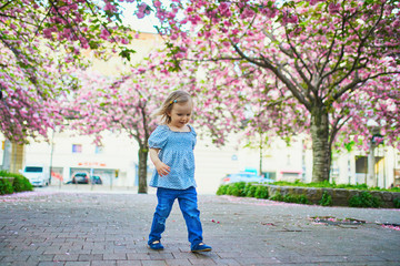 Cheerful two year old girl having fun in park with blooming cherry blossom trees