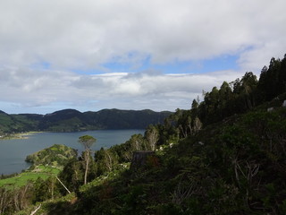 Fototapeta na wymiar Nature of the Azores. San Miguel Island