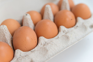 Package of ten brown eggs on the white