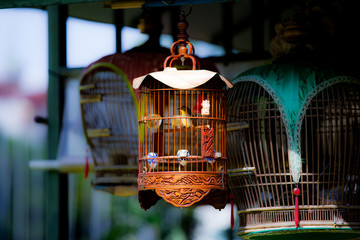 Asian Bird Cage