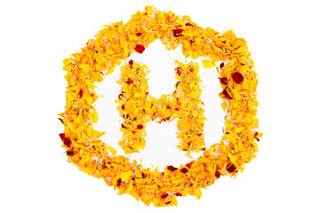 Letter H In Spring Flower Petal Hexagon. Marigold petal alphabet isolated on white background.