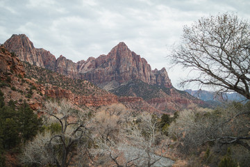 Way to Zion Nationalpark