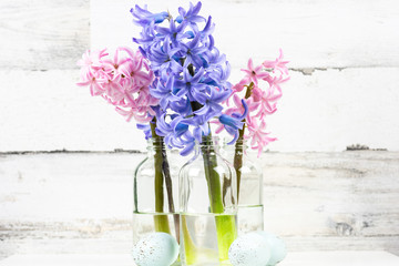 Fresh cut hyacinth flowers and speckled eggs on white background