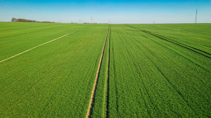 a green field and texturized tracks for farm technick