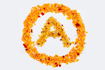 Spring Flower Letter A concept Logo. Marigold petal alphabet isolated on white background.