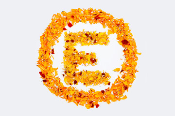 Spring Flower Letter E concept Logo. Marigold petal alphabet isolated on white background.