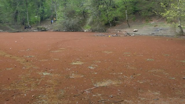 Right to left pan on a red beautiful lagoon in the middle of a forest