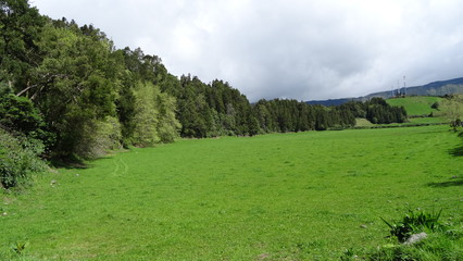 Obraz premium Nature of the Azores. Lake Furnas