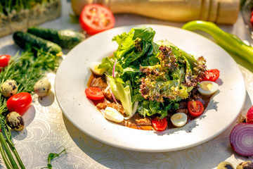 salad with fresh vegetables and meat, with lettuce, yatsami, tomatoes on a white plate