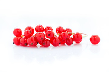 Red currant fruits isolated on white background