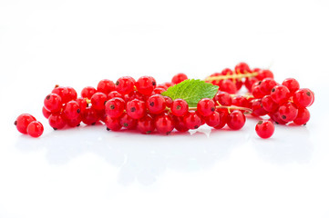 Red currant fruits isolated on white background