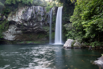 Naklejka na ściany i meble Scenic View Of Waterfall In Forest