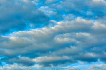 cumulus clouds in the sky